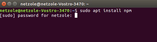 Installing nodejs and npm on linux
